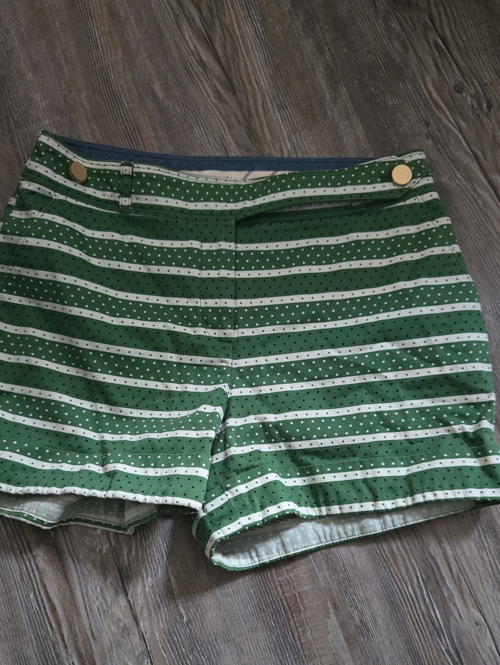 Anthropologie Green and White Striped Dot-Print Shorts